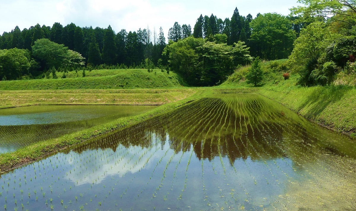 竹田市直入町U.jpg
