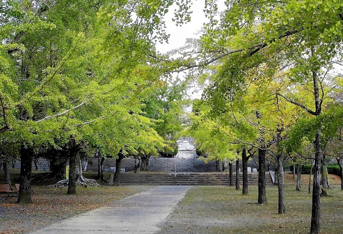 足立公園.jpg