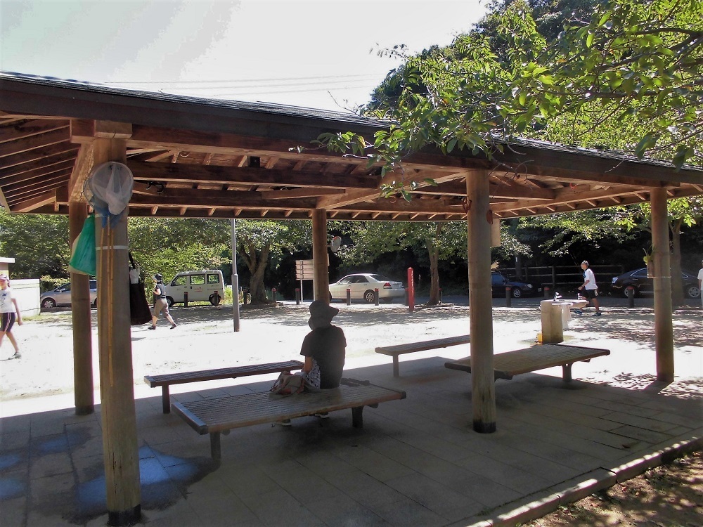足立公園展望台2.jpg