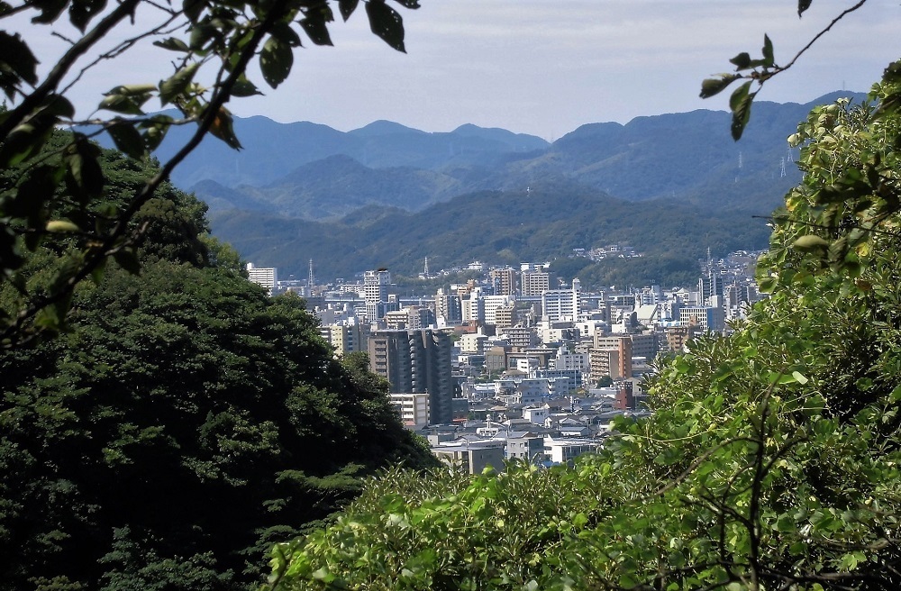 足立公園展望台3.jpg