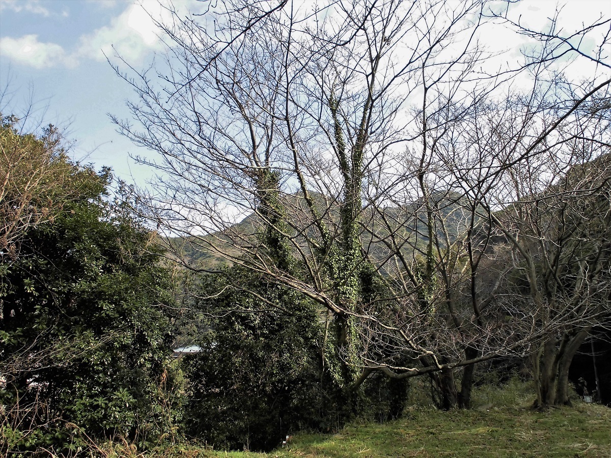 足立展望公園入口.jpg