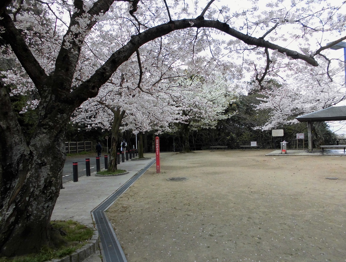 足立展望台公園下.jpg