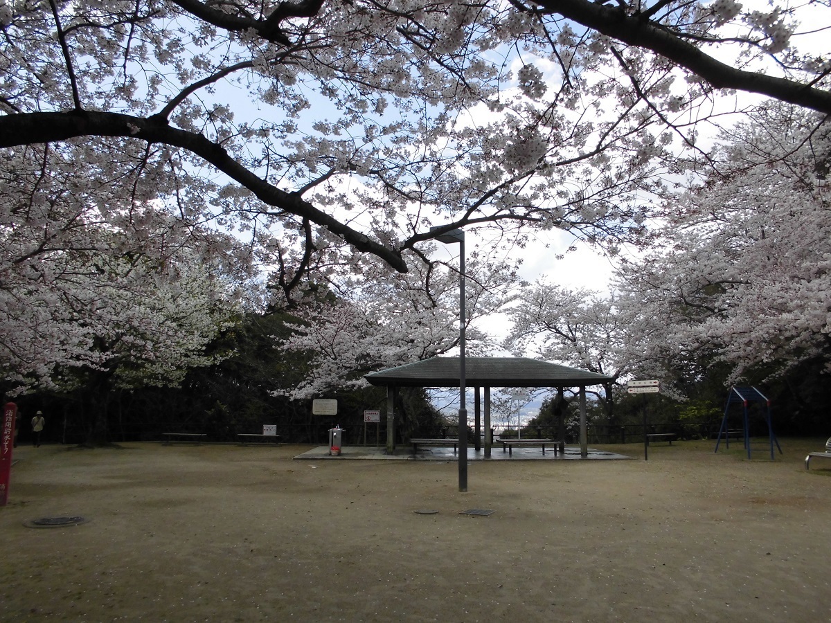 足立展望台公園下A.jpg