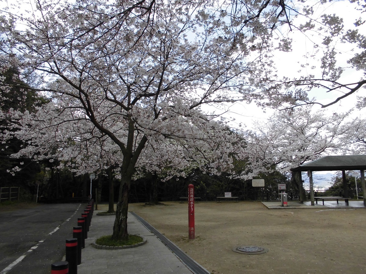 足立展望台公園下B.jpg
