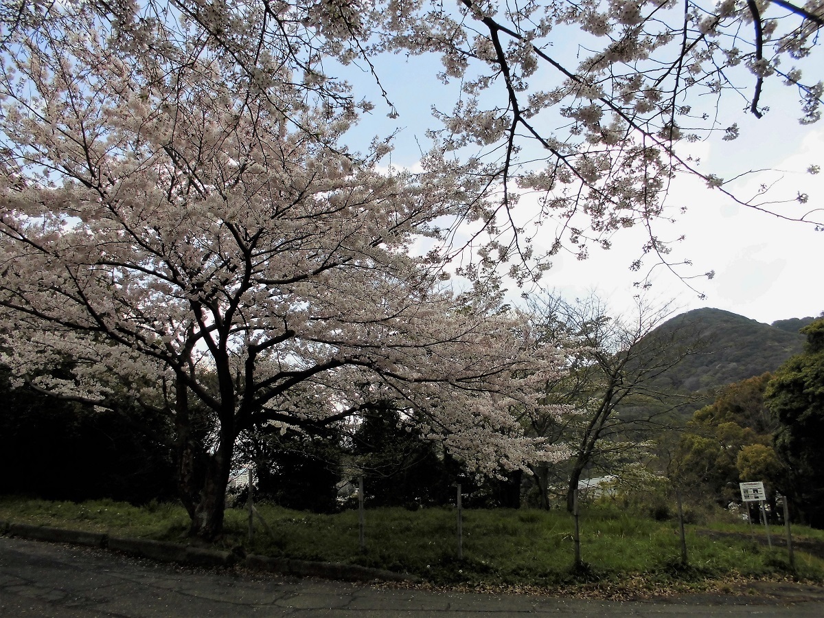 足立展望台公園下C.jpg