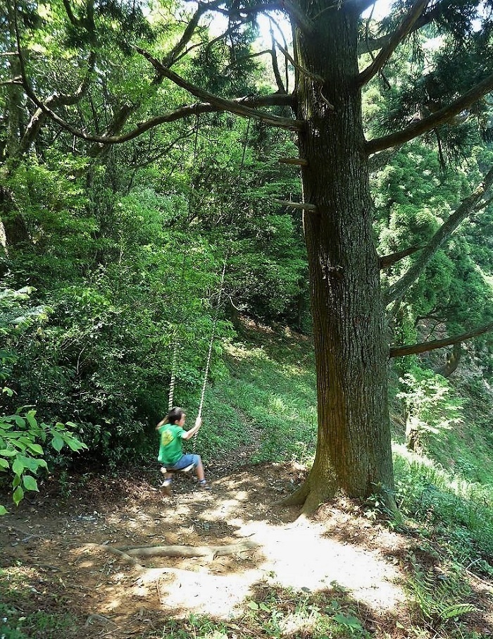 足立山 ぶらんこ.jpg