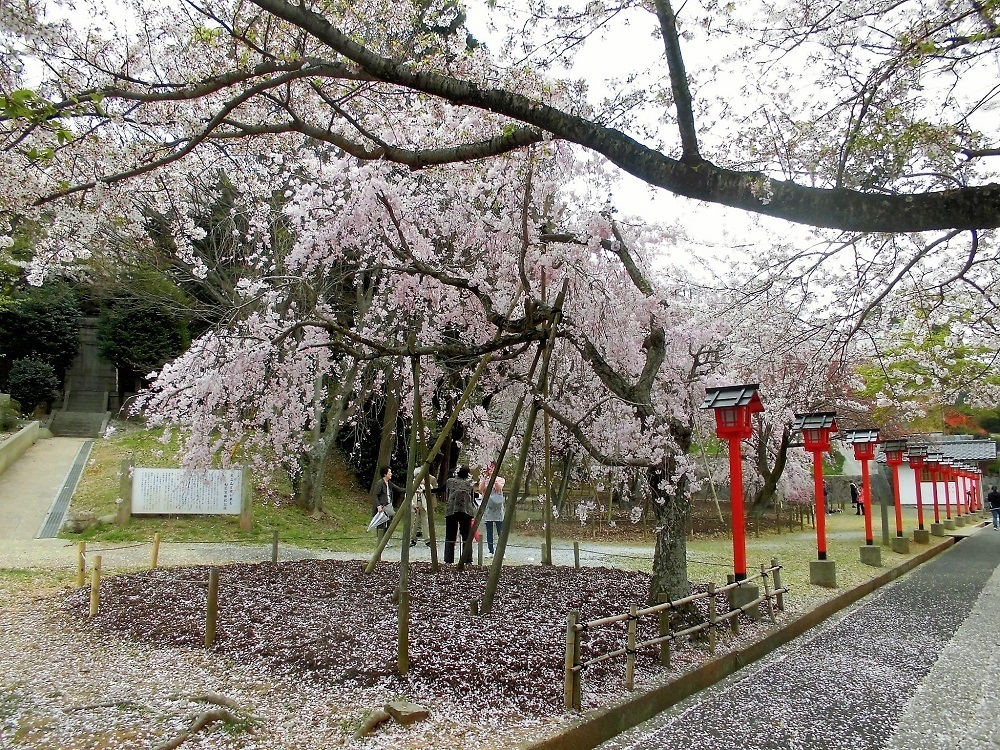 足立山妙見宮2.jpg