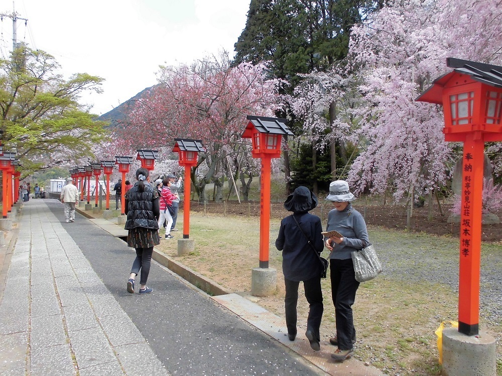 足立山妙見宮7.jpg