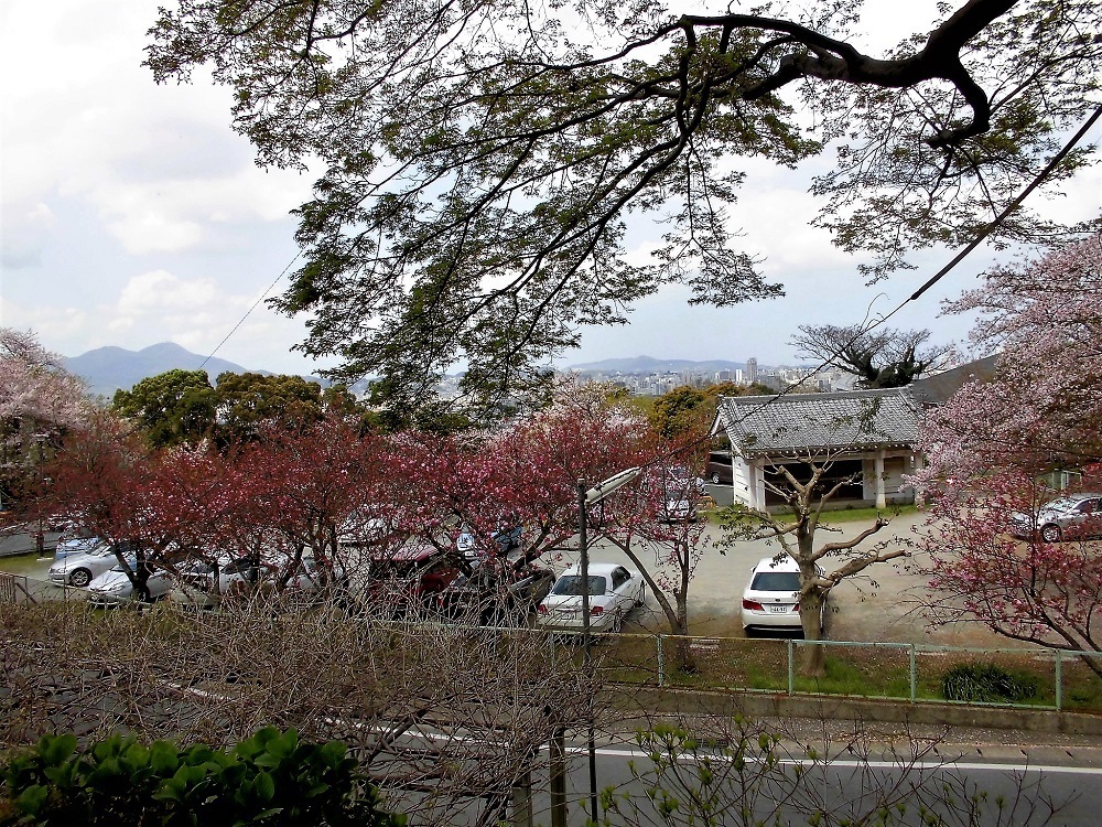 足立山妙見宮8.jpg