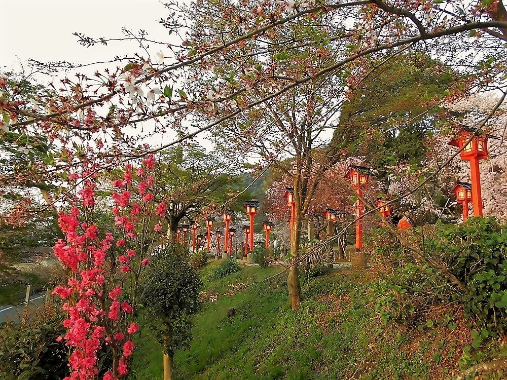 足立山妙見宮m.jpg