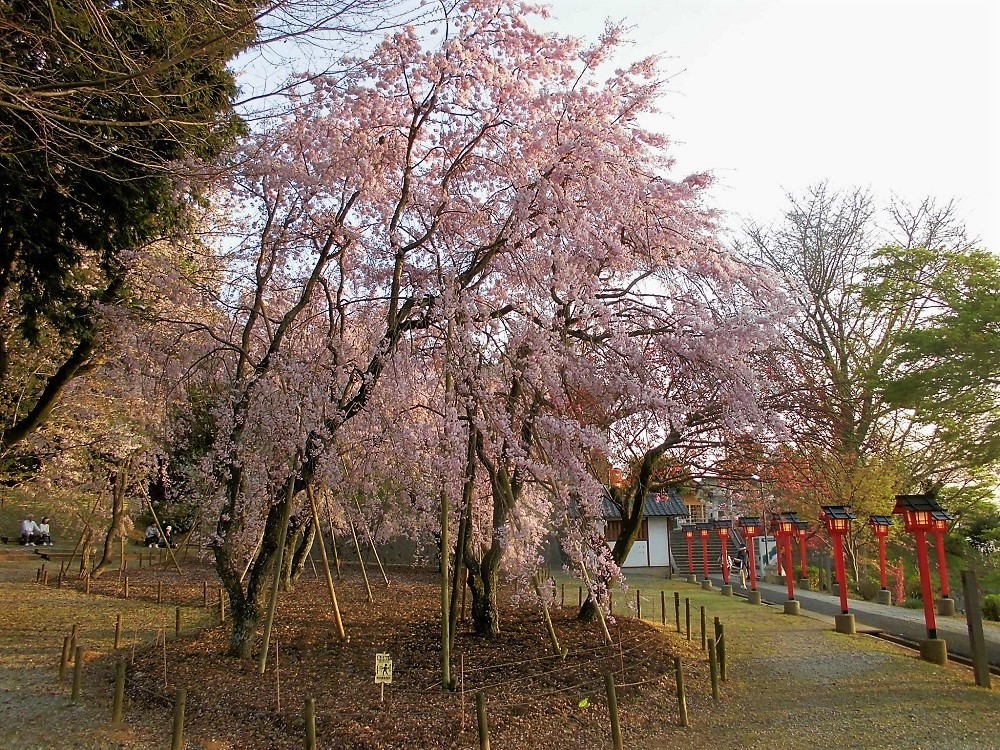 足立山妙見宮a3.jpg