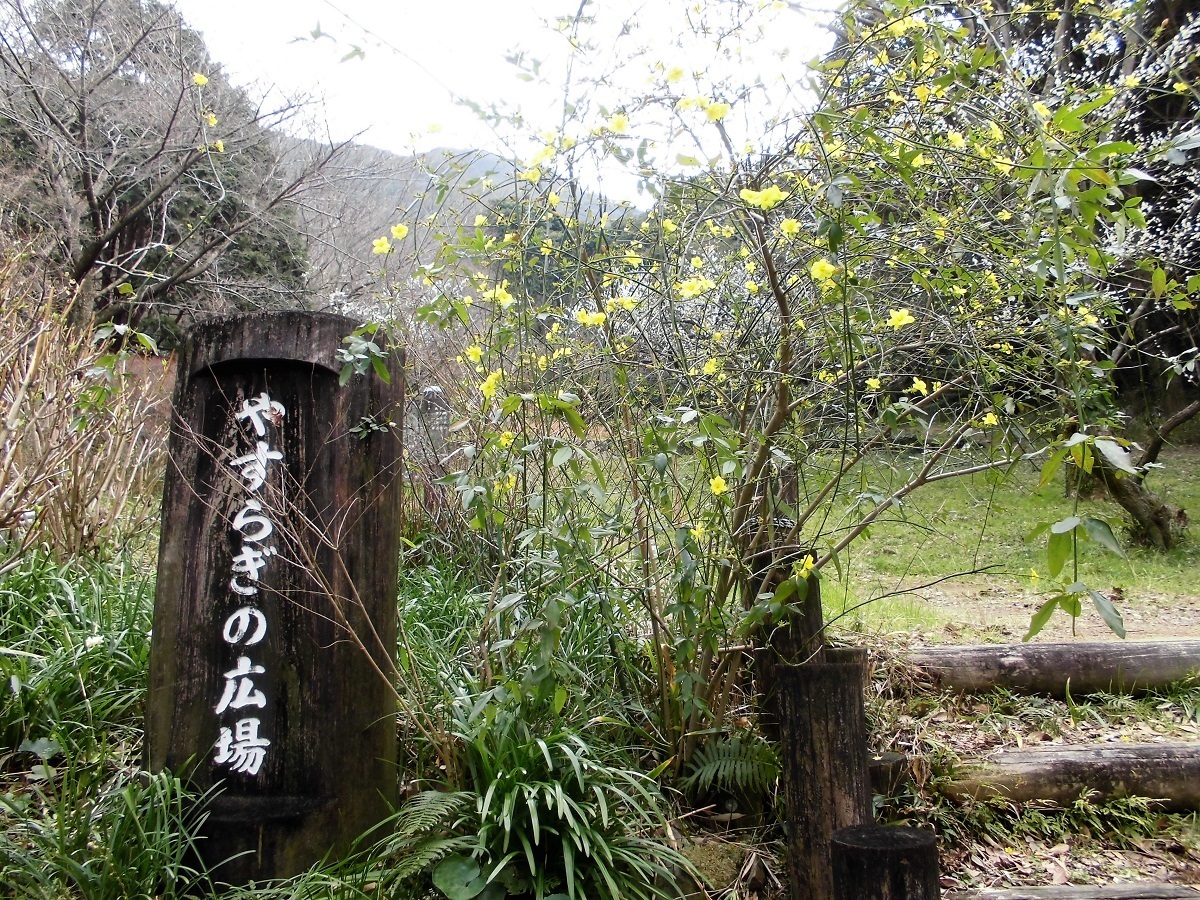 足立山森林公園@.jpg