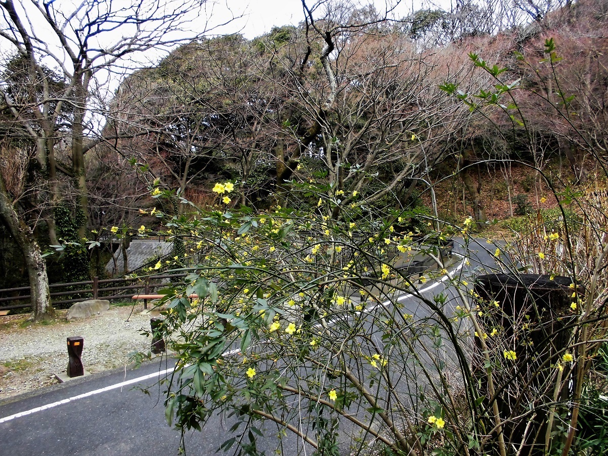 足立山森林公園A.jpg