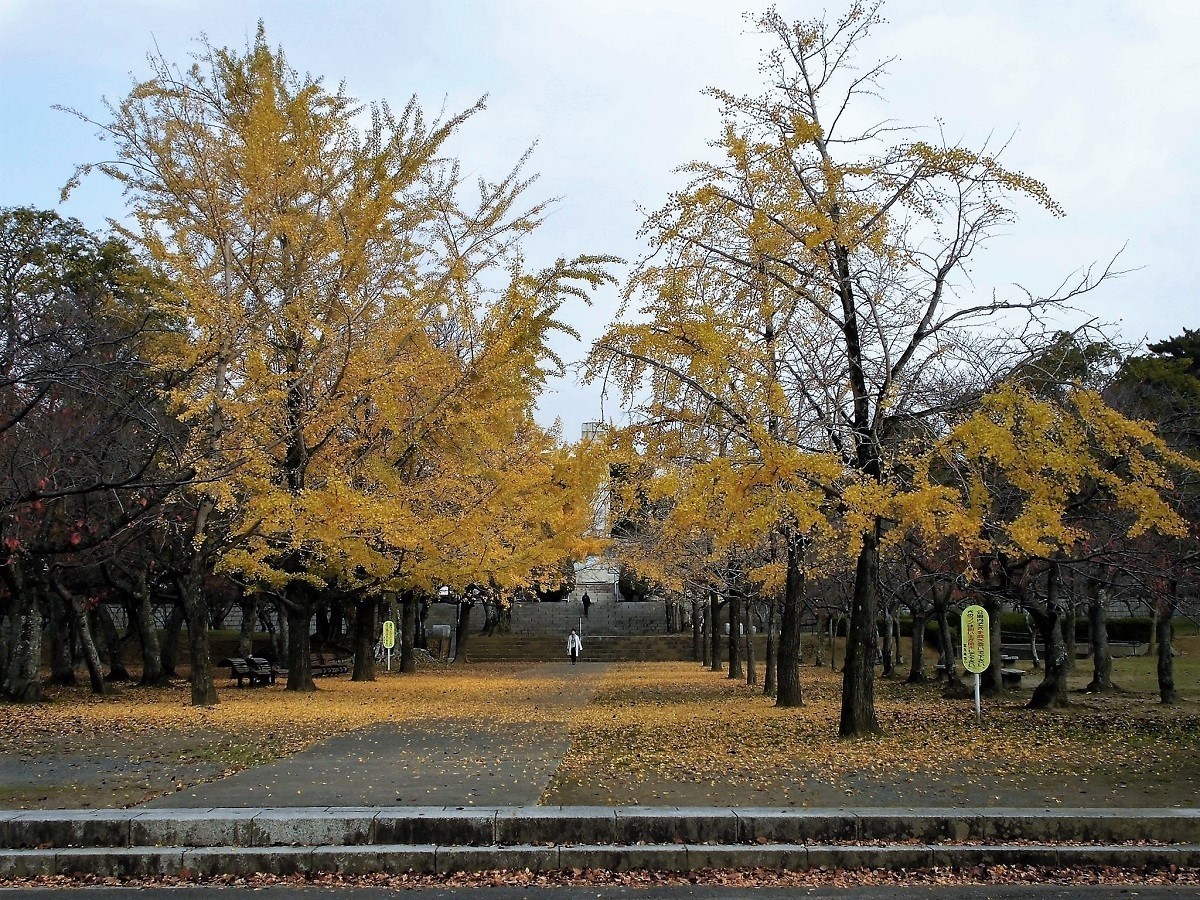 足立平和公園.jpg