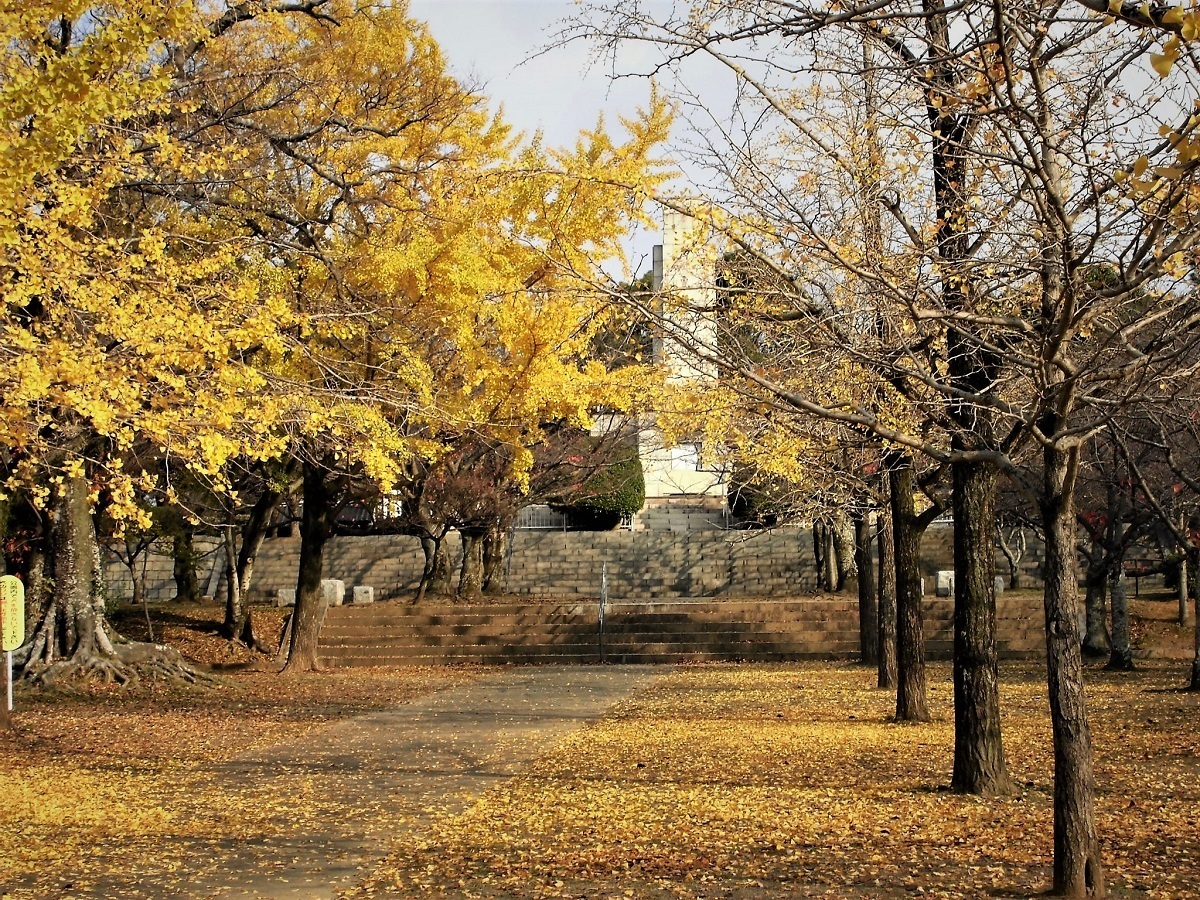 足立平和公園U.jpg