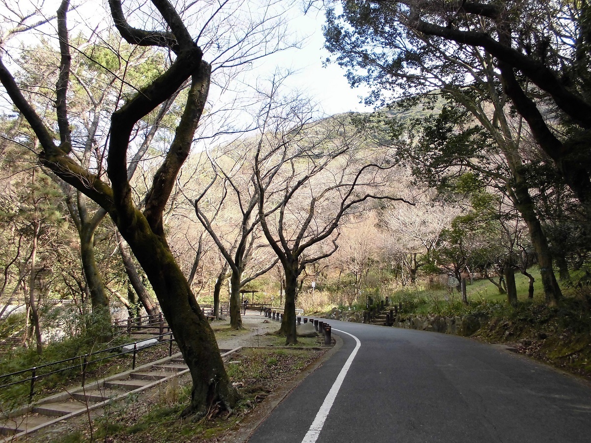 足立森林公園.jpg