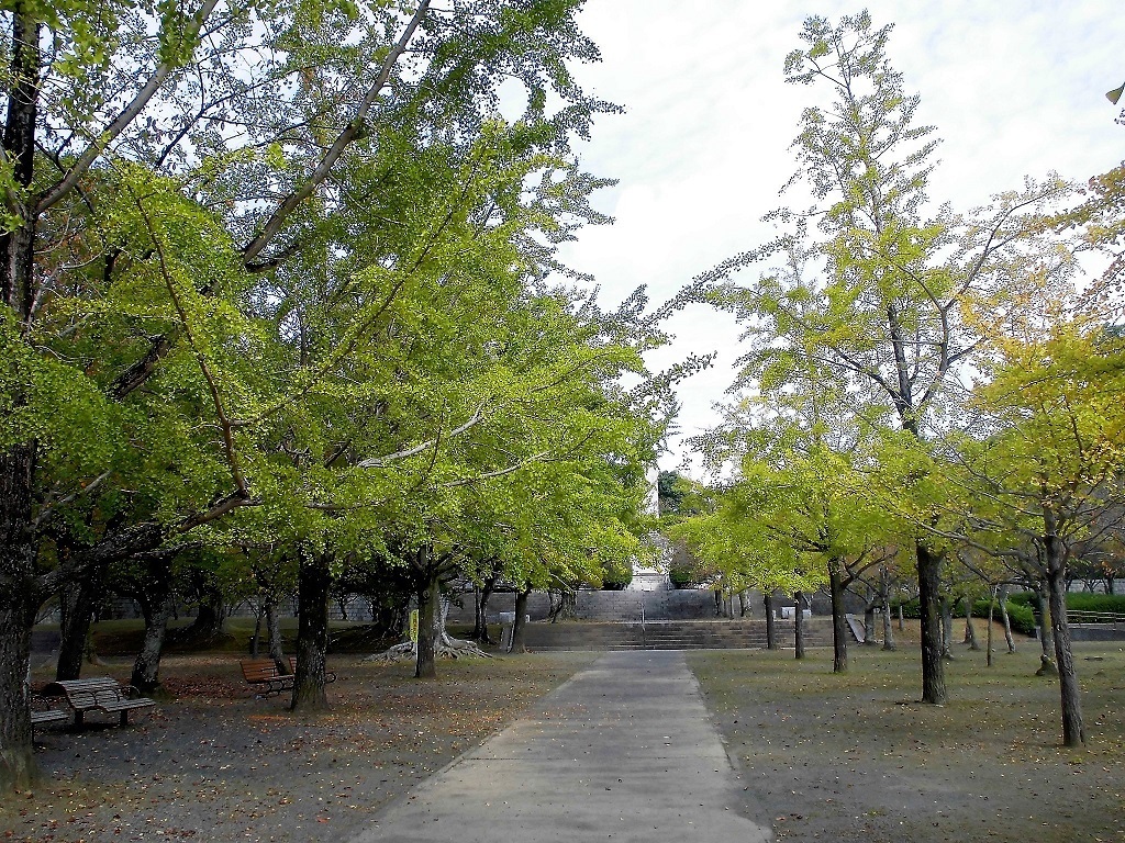 足立森林公園.jpg
