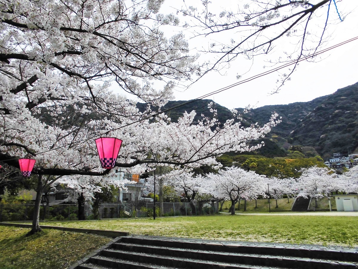 足立森林公園 2.jpg