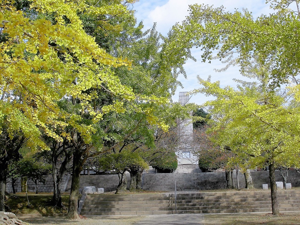 足立森林公園2.jpg