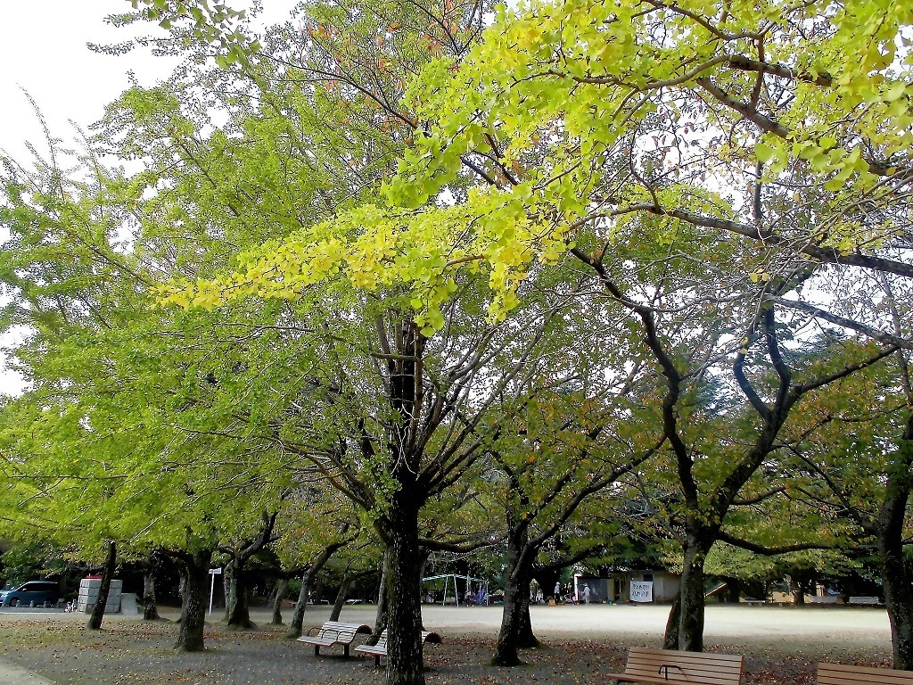 足立森林公園3.jpg