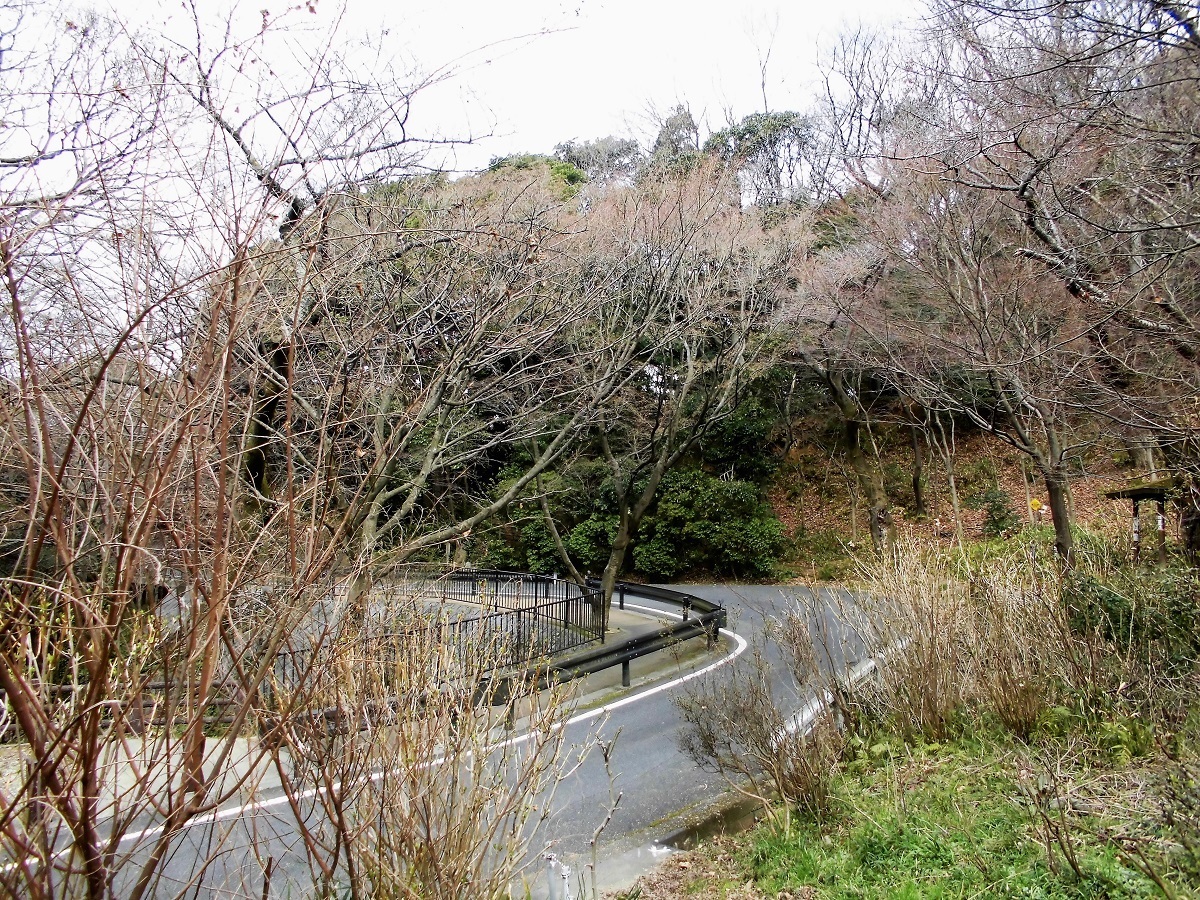 足立観光道路.jpg