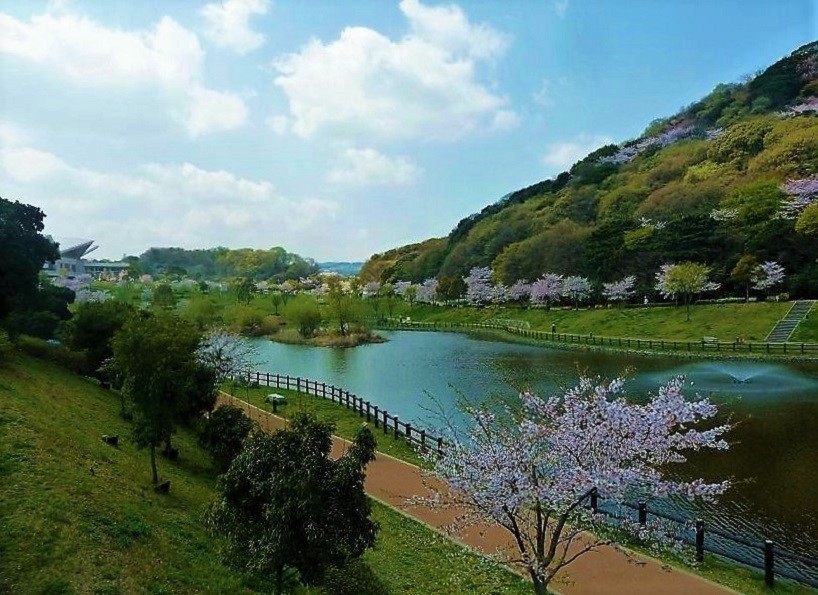 金比羅池A.jpg