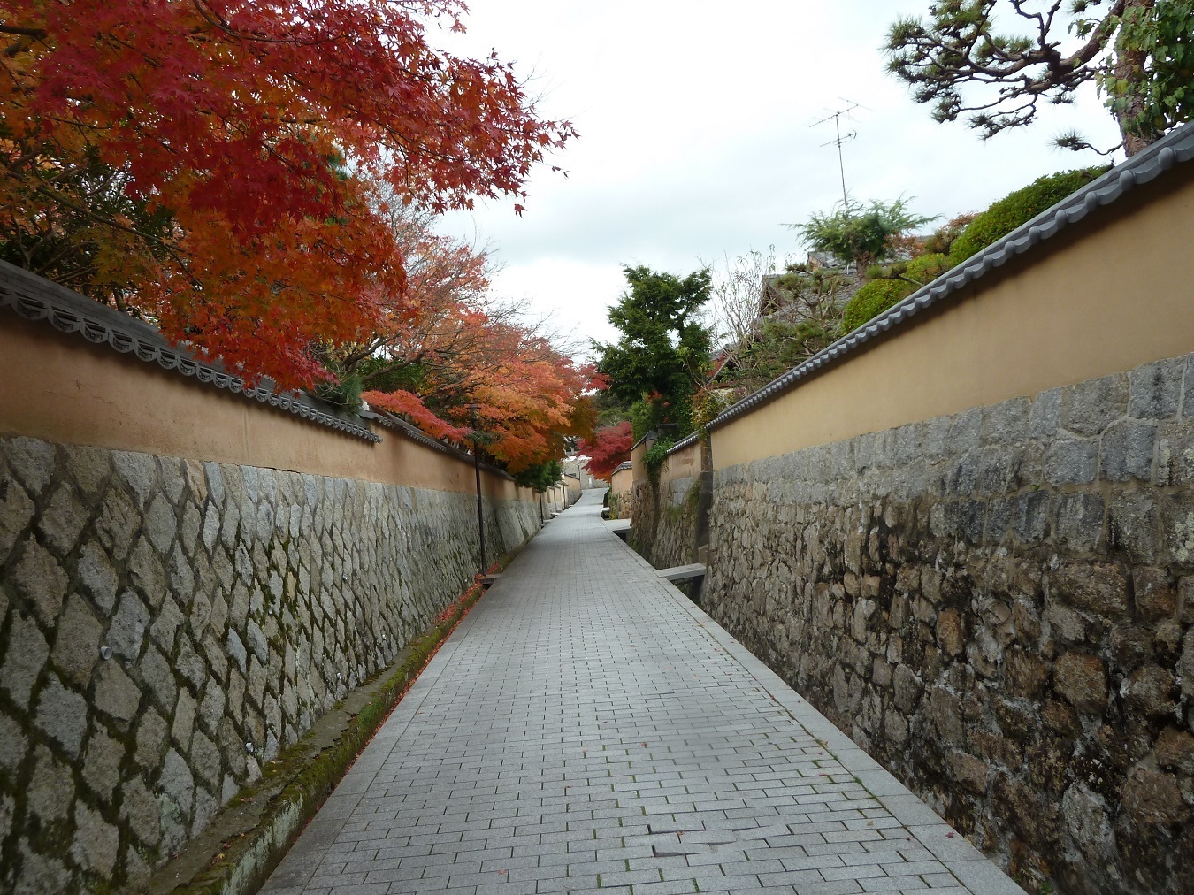 長府.jpg