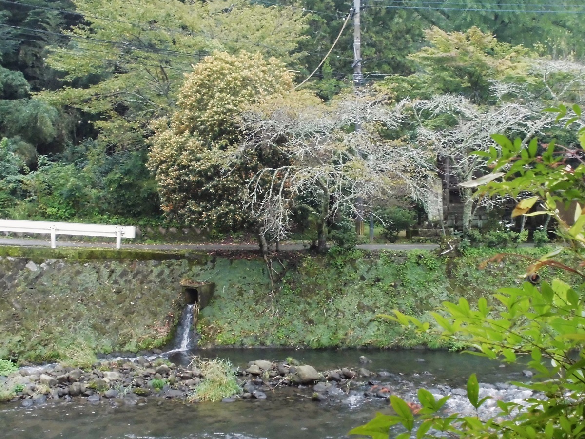 長湯温泉芹川.jpg