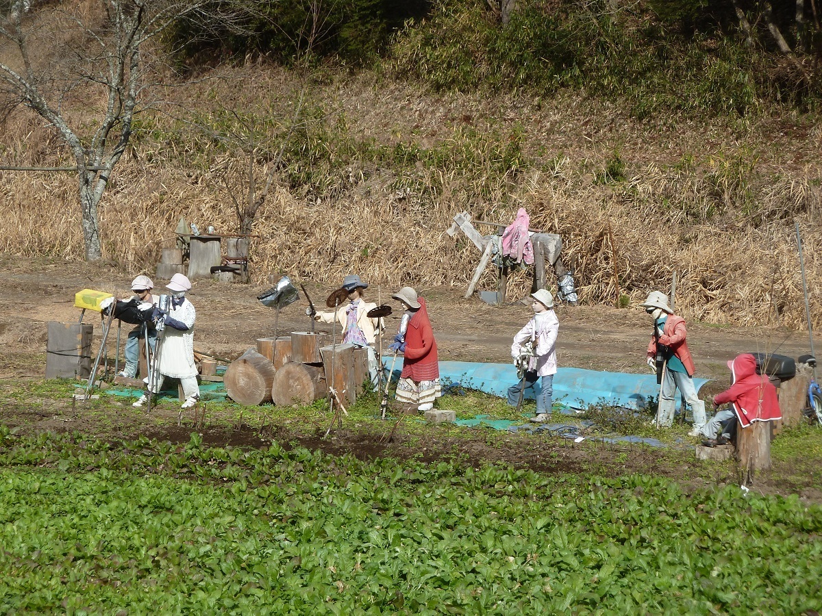 阿蘇郡小国町黒渕.jpg