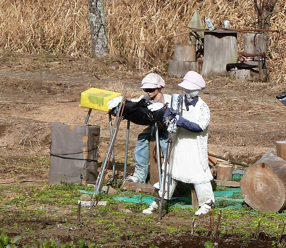 阿蘇郡小国町黒渕no.3.jpg