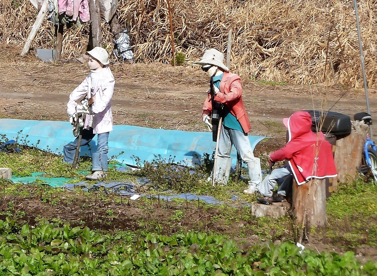 阿蘇郡小国町黒渕no.4.jpg