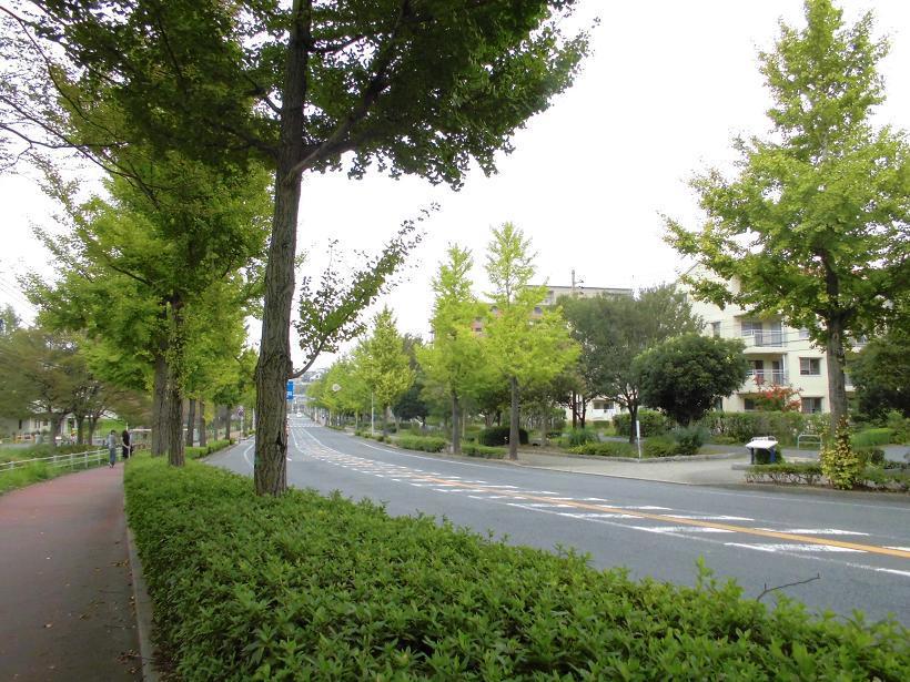 鞘ヶ谷.jpg