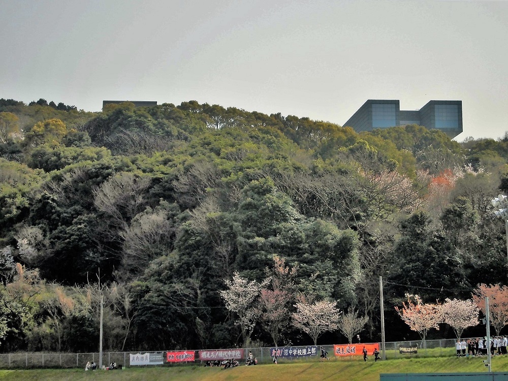 鞘ヶ谷陸上競技場3.jpg