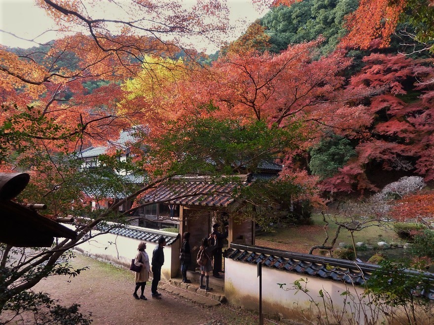 魚楽園3.jpg
