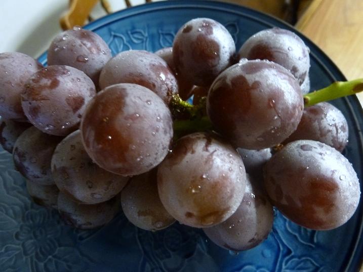 Grapes.jpg