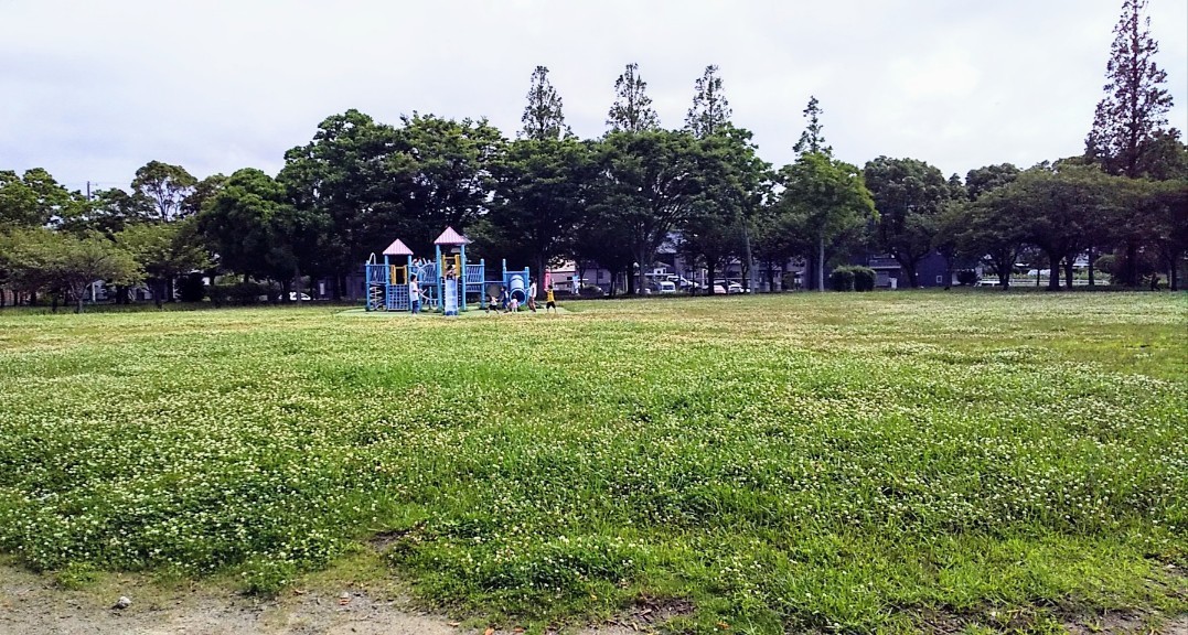 IMG_20200704_191116.jpg