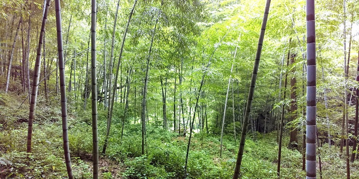 IMG_20200719_202122.jpg
