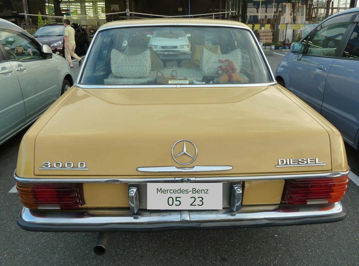 Mercedes-Benz300D.jpg