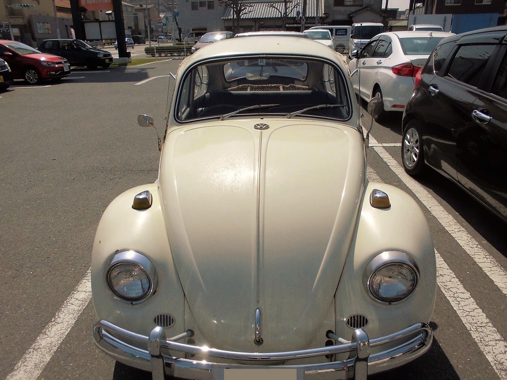 Volkswagen beetle.jpg