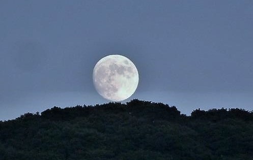 Wolf Moon.jpg