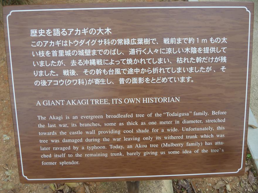 a giant akagi.jpg