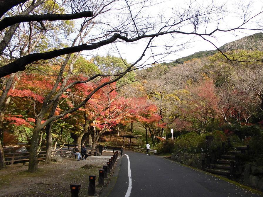 adachi shinrin park.jpg