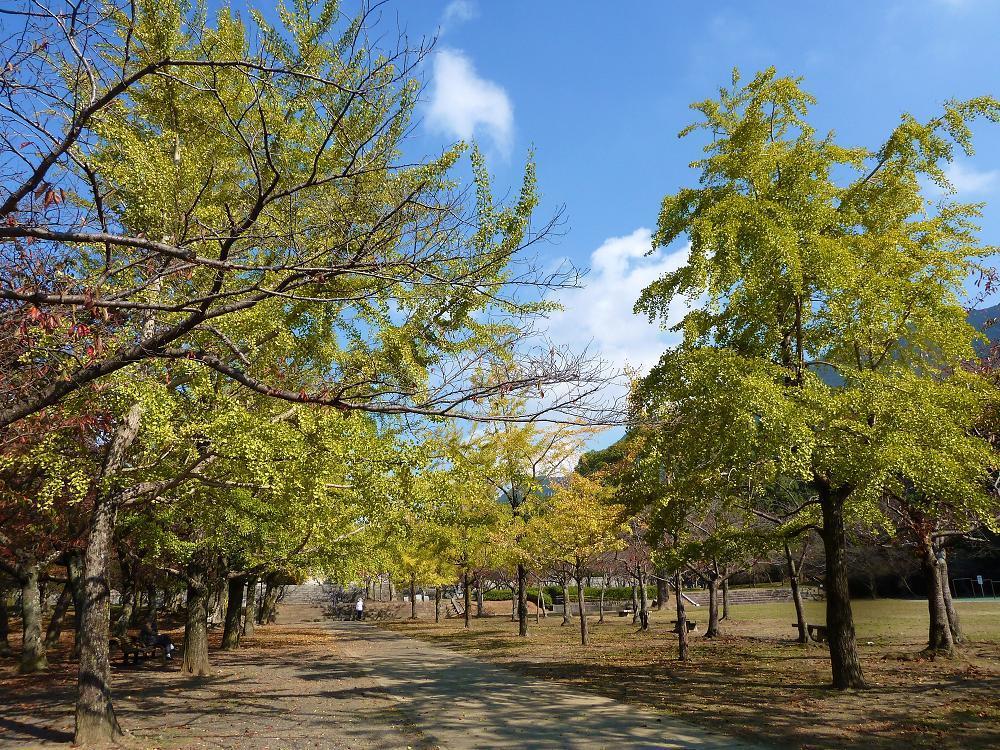 adachi shinrinpark.jpg