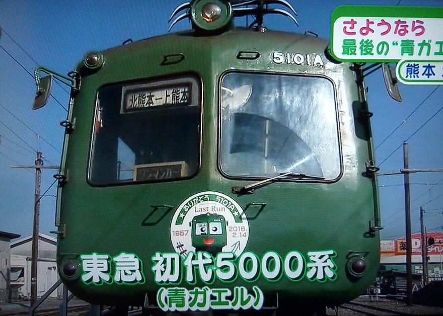 aogaeru.jpg
