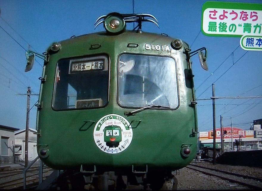 aogaeru2.jpg