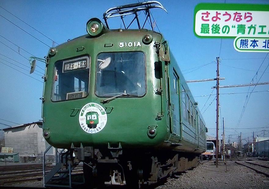 aogaeru3.jpg