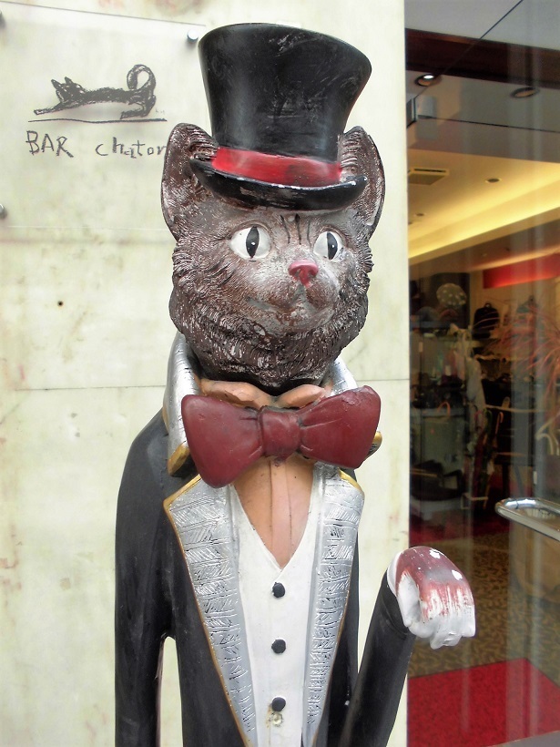 bar chaton3.jpg