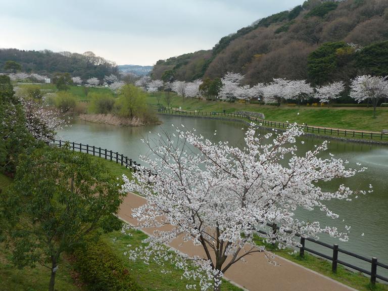 chuoukouen.jpg