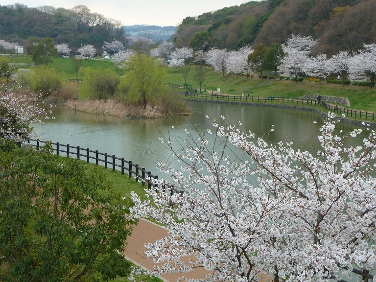 chuoukouen2.jpg