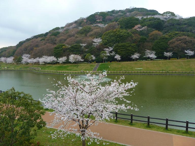 chuoukouen3.jpg